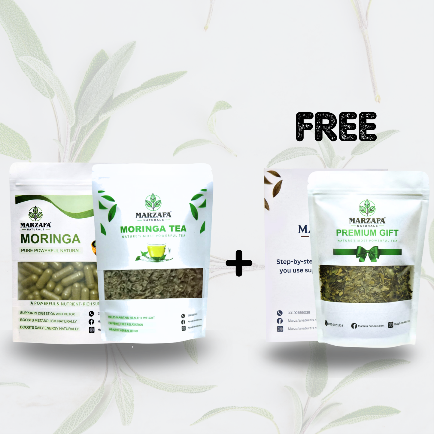 Moringa Capsule x Tea