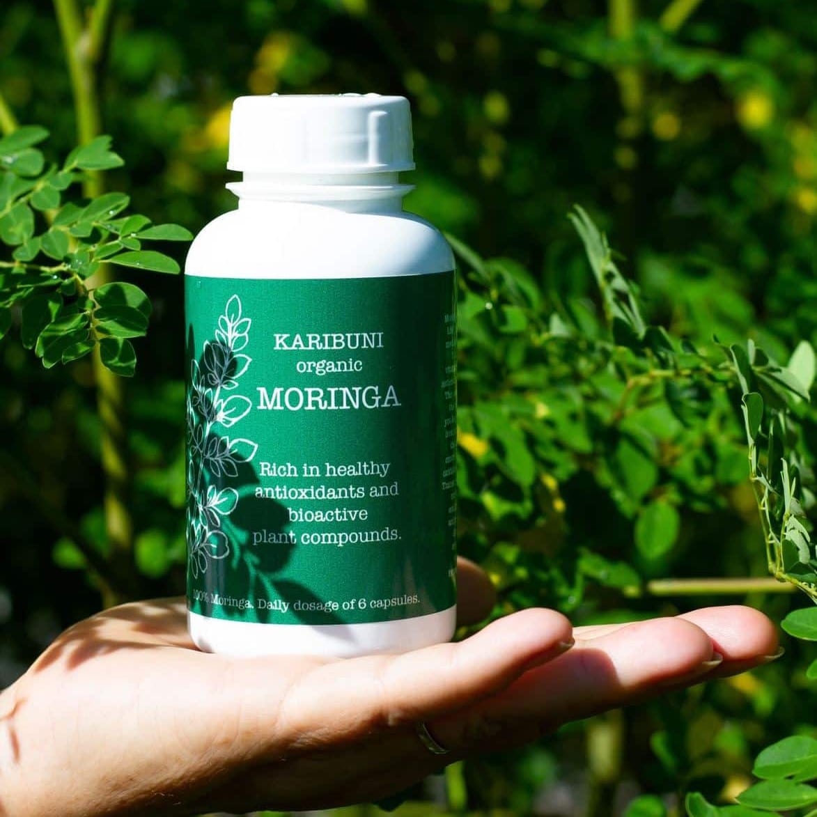 Moringa Capsule