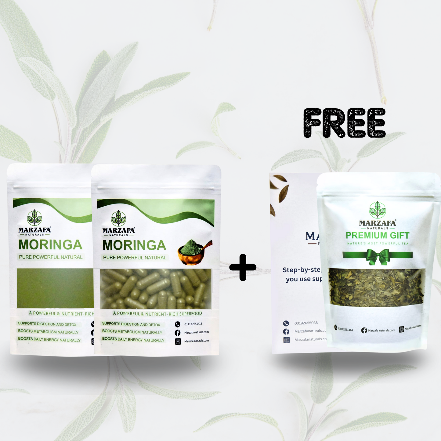 Moringa Capsule x Moringa Powder